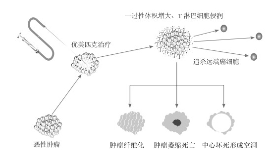 ҽԺͿƷwww.beijingcancer.com